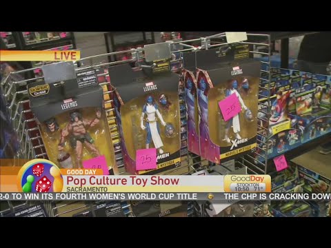 Pop Culture Toy Show