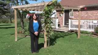 preview picture of video 'Lots of Bells & Whistles! - Forest City Real Estate'