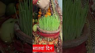 क्या संकेत देते है ज्वार, नवरात्रि के बाद इनका क्या करें #navratri 2023#durgapuja#Maa#viral #like