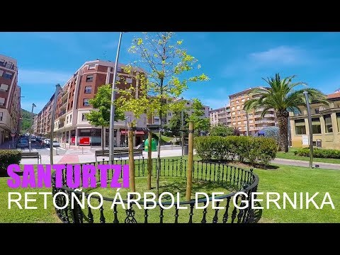 EL RETOÑO DEL ARBOL DE GERNIKA EN SANTURTZI