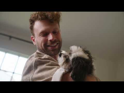 Dog Food for Picky Eaters: Jack’s Story | JustFoodforDogs