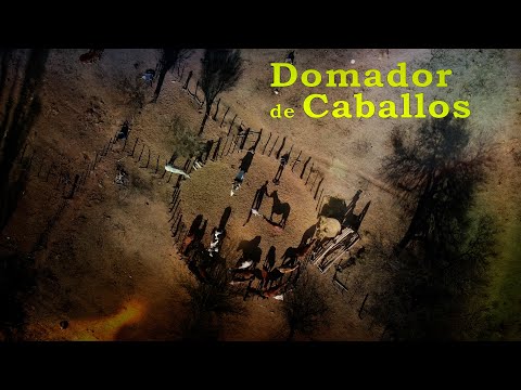 218 Pipo Gil, Domador de Caballos, El Trapiche (San Luis) - Estancias y Tradiciones