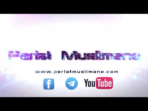 Studimet tek Muhammed Raslan në Manuffijeh - Suhejmi