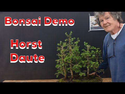 BonsaiKunstHamburg: Demo Horst Daute