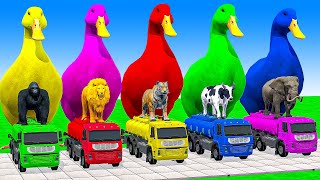 Long Slide Game With Cow Elephant Gorilla Hippopotamus Tiger - 3d Animal Game - Funny 3d Animals