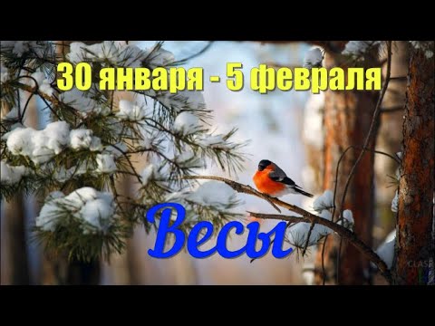 30 января - 5 февраля.ВЕСЫ ♎️