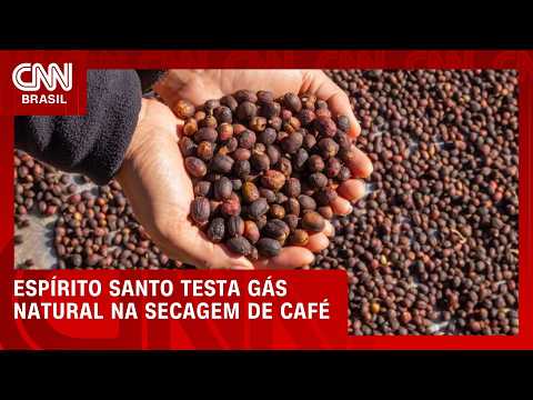 Espírito Santo testa gás natural na secagem de café em projeto inédito | CNN AGRO NEWS