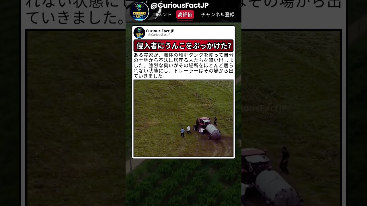 こんな使い方ある？完全に予想外なんだけど 😶