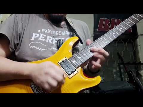 PRS CE and a Vegatrem. a match made in hell