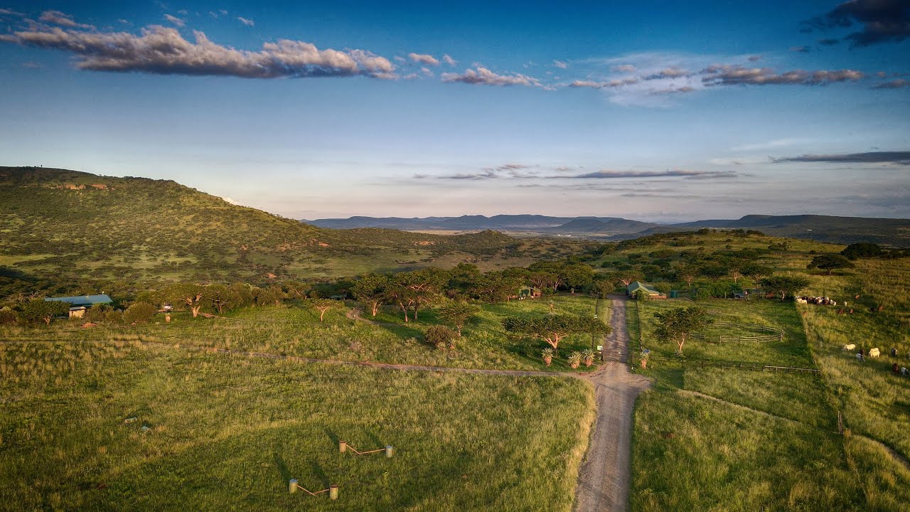 Three Tree Hill Best Promotional Video