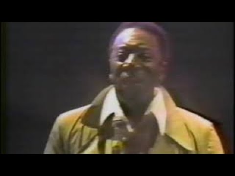 Newport Jazz '79 featuring Joe Williams - Just The Way You Are