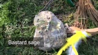 Happy Trails Irwin Period 5(Old spanish Trail)