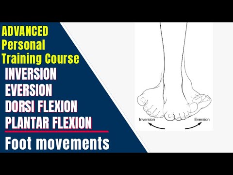 image-What is plantar flexion inversion?
