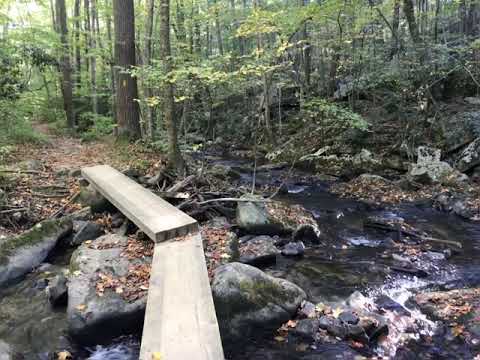 Along the hike to the waterfall