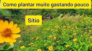 Miniatura do vídeo