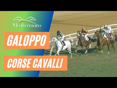 Corse cavalli di Galoppo del 11 Dicembre 2021