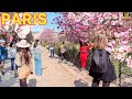 Paris France 4K The Beauty Of PARIS In Spring Paris Walk ️ With Captions