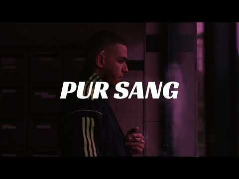 Zkr x Niaks x Zikxo Type Beat - "PUR SANG" Instru Rap (prod. NemboKid x @skyzobeat )