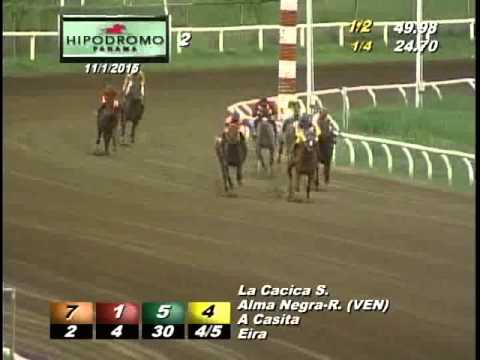 2DA CARRERA DOMINGO 1 DE NOVIEMBRE DE 2015 HPR