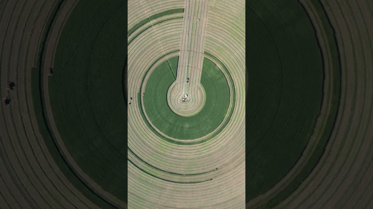 Pivot harvest