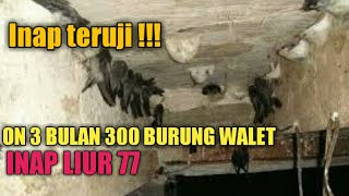 Download lagu SUARA INAP LIUR 77 INAP TERBAIK ANDI SUFAR SINAR 77 mp3 Download lagu SUARA INAP LIUR 77 INAP TERBAIK ANDI SUFAR SINAR 77 mp3