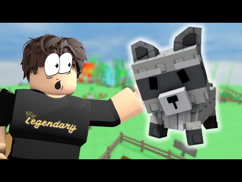 HIDE And SEEK Sa Brookhaven PARA SA RACCOON! (Roblox)