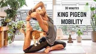 30min Mobility for King Pigeon