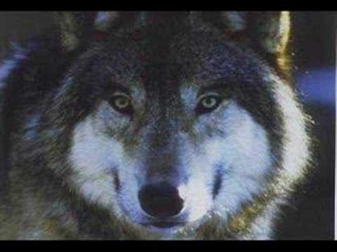 Türk Türk'e Destek Verecek