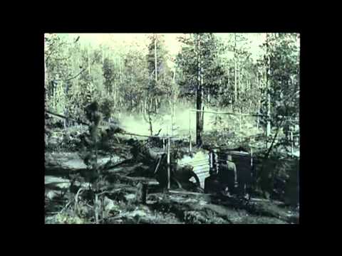 Finnish Artillery Tribute: World War II