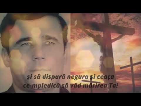 AȘ VREA IISUSE - Costel Mistreanu