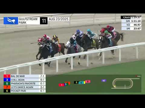 Gulfstream Park Race 11 - August 23, 2025