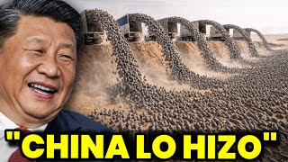 1,2 millones de conejos fueron liberados en el desierto desolado de China: un final inesperado que