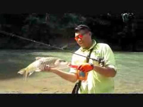 Rod Ford Gt Zero 4-10Lbs In Action (Hampala, Jungle Perch, Sebarau )