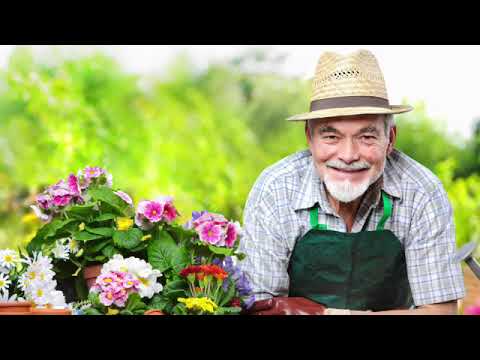 Oxford Bright Ideas 1 - Big Question 7