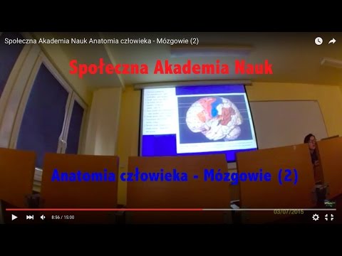 Społeczna Akademia Nauk Anatomia człowieka - Mózgowie (2)