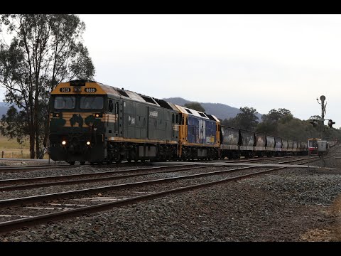 Pacific National G523 and BL30 lead 3KC6 Grain Train - Dysart, Victoria - 18/12/2018