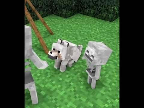 Monster School:Baby Skeleton and Dog Life - Story Minecraft Animation - (shorts version) #Shorts​ 1