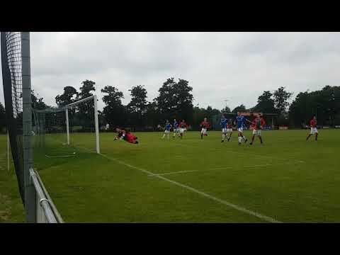 Doelpunt Max Henneman, DSS - Terrasvogels