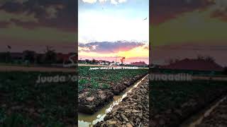 Download lagu story wa| wana bein ideik mp3 Download lagu story wa| wana bein ideik mp3