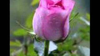 CUANDO PIENSO EN TI los temerarios.wmv