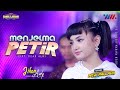 Jihan Audy - Menjelma Petir (Feat. New Pallapa)