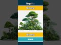 biome - bioma video thumbnail