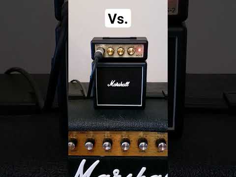 Guitar Amps: Marshall JCM800 vs. MS-2 mini amp #guitar #guitarist #guitaramp #marshallamps #beginner