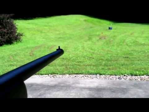 .22 short vs .22LR (loudness comparison)