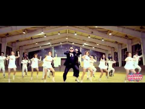 Top Of The Pops 2013 - DANCE MASHUP - (Mixed by Mashup Germany)