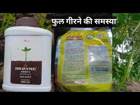 Biostad Biozyme Tonic | Biozyme Pgr Tonic | biozyme crop+ | poorva chelmix combi micronutrient