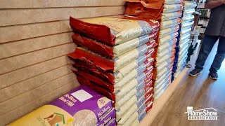 Which bird seed should you buy  Expert answers