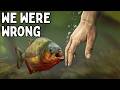 Piranhas The Animal That Just Doesn T Make Sense