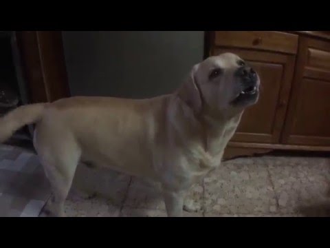 Per comprare sbattono un pacco di faccia fino a rendere cremoso Perché il 10o bambino mensile ha borse sotto occhi
