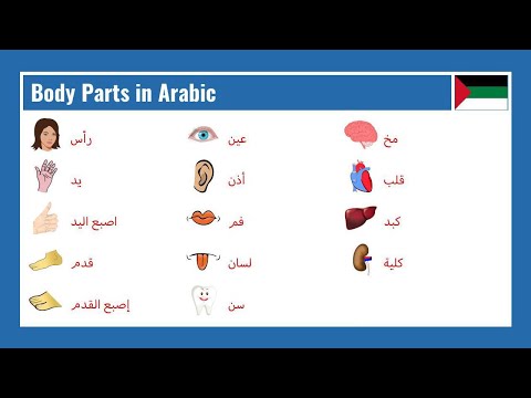 Body Parts in Arabic